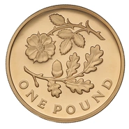 Pièce 1 Livre Or 2013 Angleterre Floral BE en Boîte