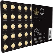 Pièces Maplegram Or 25 x 1g 2024