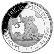Pièce Éléphant de Somalie de la Faune Africaine Argent 1 Once 2024