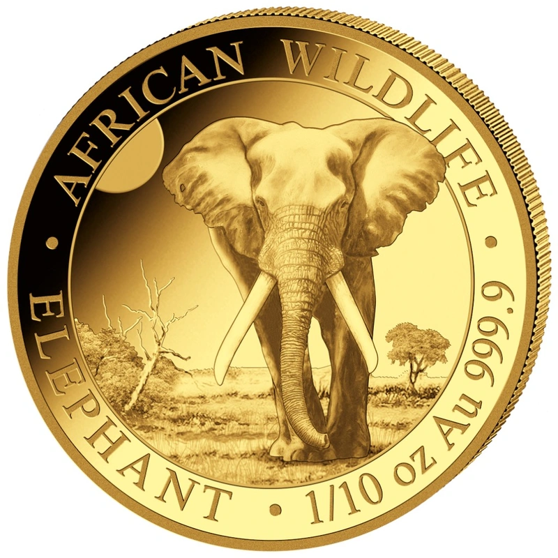 Pièce d'or éléphant somalien de 1/10 once 2025