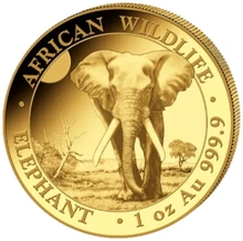 Pièce Éléphant Somalien Or 1 Once 2025