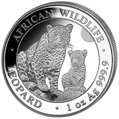 Pièce African Wildlife Léopard de Somalie Argent 1 Once 2024