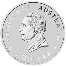 Pièce Cygne Australienne Argent 1 Once 2024