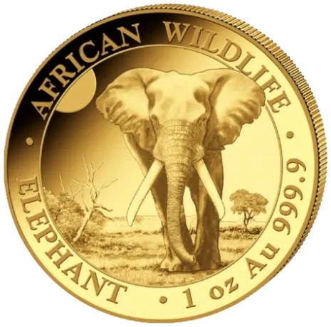 Pièce Éléphant Somalien Or 1 Once 2025