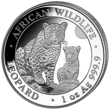 Pièce African Wildlife Léopard de Somalie Argent 1 Once 2024 