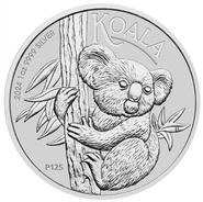 Pièce Koala Argent 1 Once 2024