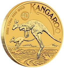 Pièce Kangourou Or 1/2 Once 206