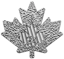Pièce Maple Leaf Argent 1 Once 2024