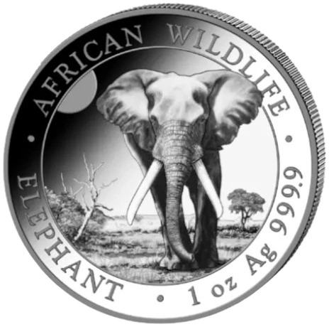 Pièce Éléphant de Somalie de la Faune Africaine Argent 1 Once 2025
