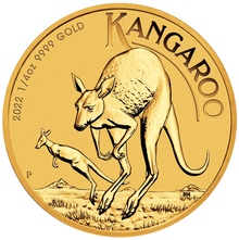 Kangourou en or de 1/4 Once - 2022