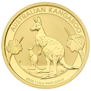 Kangourou en or de 1/2 Once - 2020