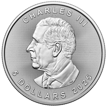 Pièce Maple Leaf Argent 1 Once Notre Choix