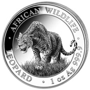 Pièce d'argent Léopard de Somalie de la faune africaine de 1 once 2023