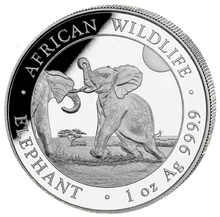 Pièce Éléphant de Somalie de la Faune Africaine Argent 1 Once 2024