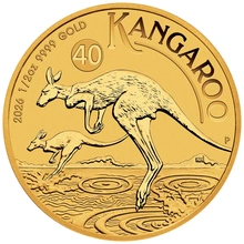 Pièce Kangourou Or 1/2 Once 206