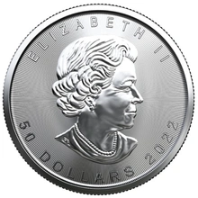 Pièce Maple Leaf Platine 1 Once 2022
