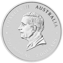 2025 Perth Mint pièce argent 2oz année du serpent