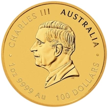 Pièce Perth Mint Lunar Or 1 Once 2025 Année du Serpent