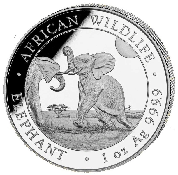 Pièce Éléphant de Somalie de la Faune Africaine Argent 1 Once 2024