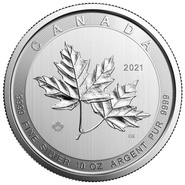 Pièce en argent Magnificent Maple de 10 onces 2021