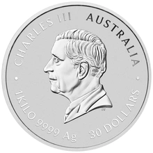 Pièce Perth Mint Lunar Argent 1 Kilo 2025 Année du Serpent