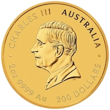 Pièce Perth Mint Lunar Or 2 Onces 2025 Année du Serpent