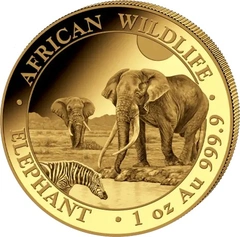 Pièce Éléphant Somalien Or 1 Once 2026