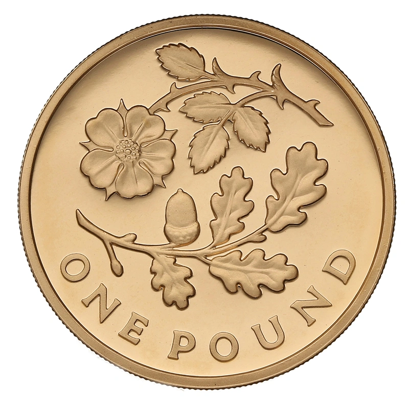 Gold Proof 2013 £1 Une livre Angleterre Floral