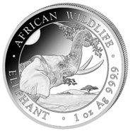 Pièce d'argent Éléphant de Somalie de la faune africaine de 1 once 2023