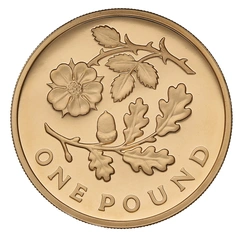 Pièce 1 Livre Or 2013 Angleterre Floral BE en Boîte