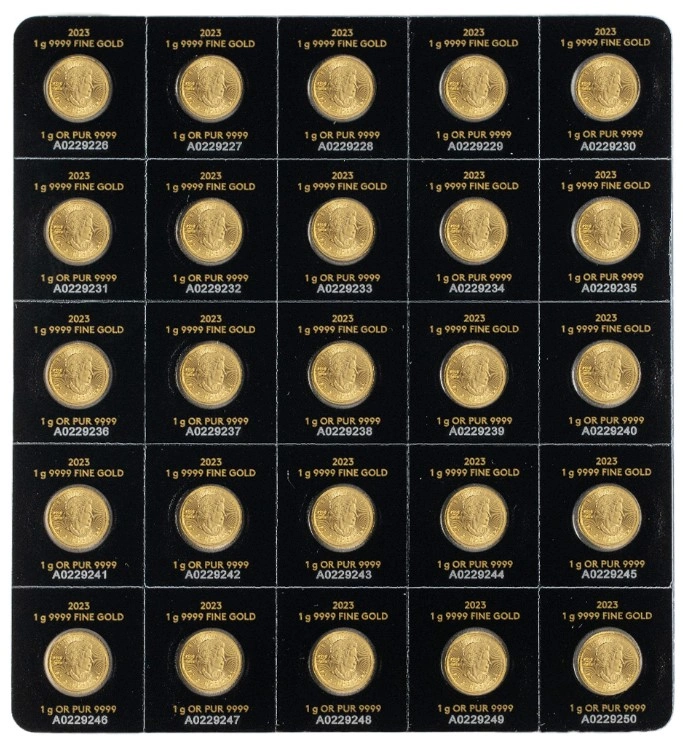 Pièces Maplegram Or 25 x 1g 2023