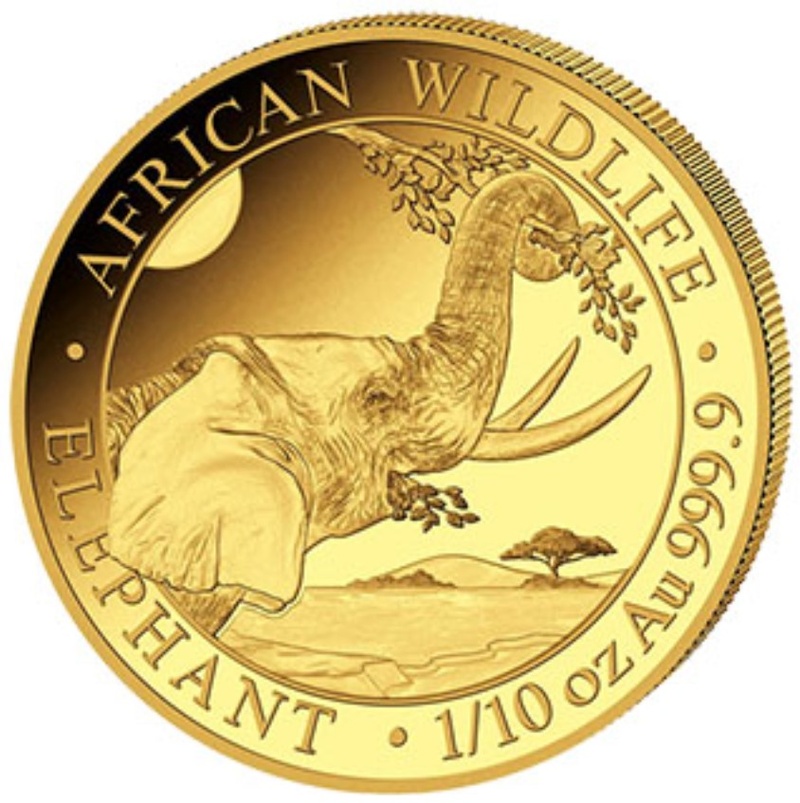 Éléphant de Somalie en or de 1/10 once - 2023