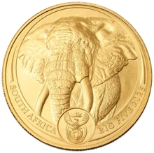 Pièce Série Big Five Or 1 Once 2025 Éléphant