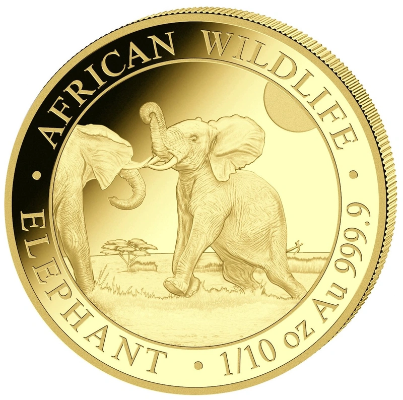 Pièce Éléphant Somalien Or 1/10 Once 2024