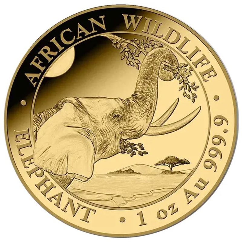 2023 1oz Somalian Elephant Gold Coin