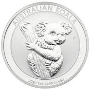 Koala Australienne