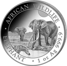 Pièce Éléphant de Somalie Argent 1 Once 2026