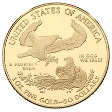 5 Pièces Dollars Or US Eagle 2007 BE en Boîte